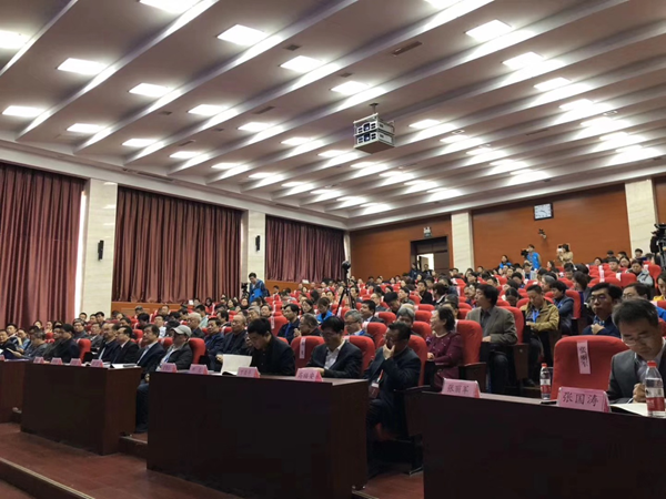 图片41_副本.png 图片41_副本.png